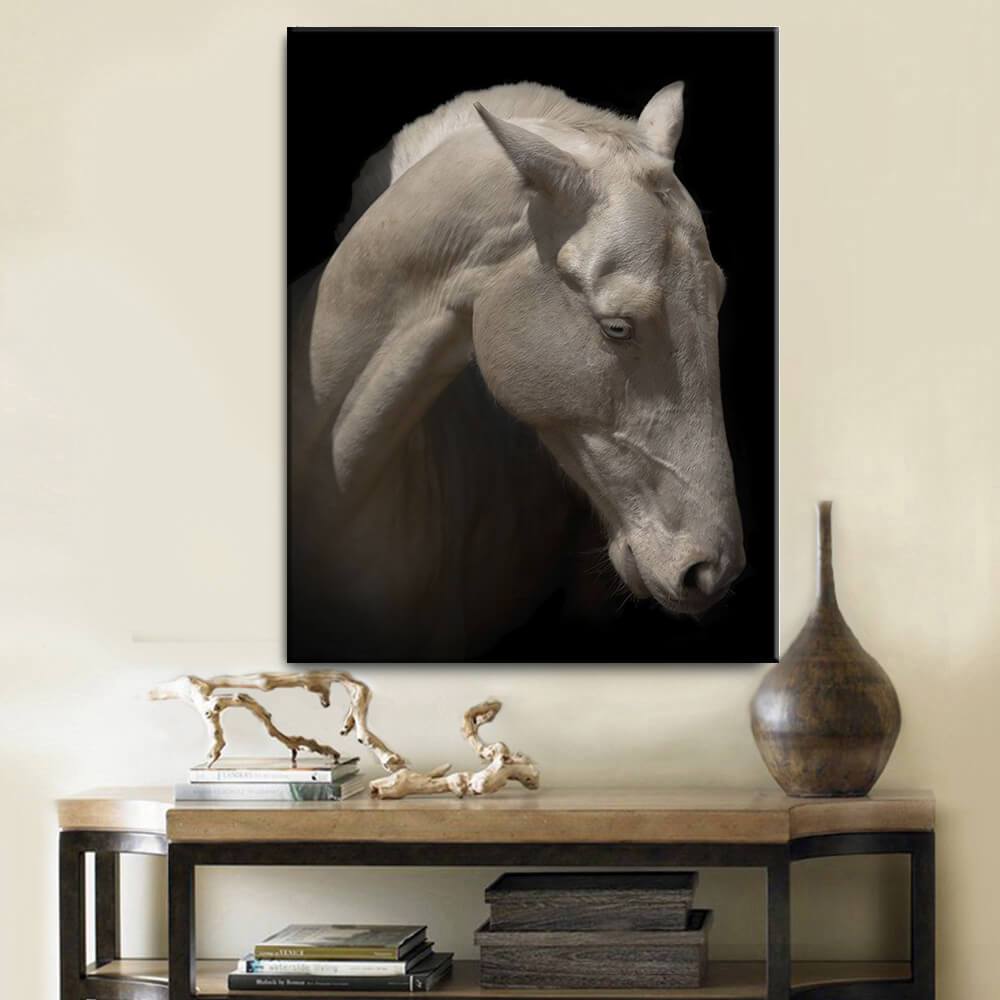 Albino Horse Canvas