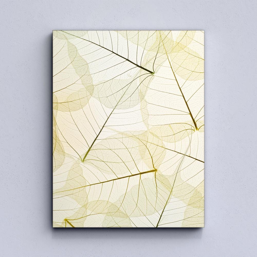 Colorful splash leaf Canvas