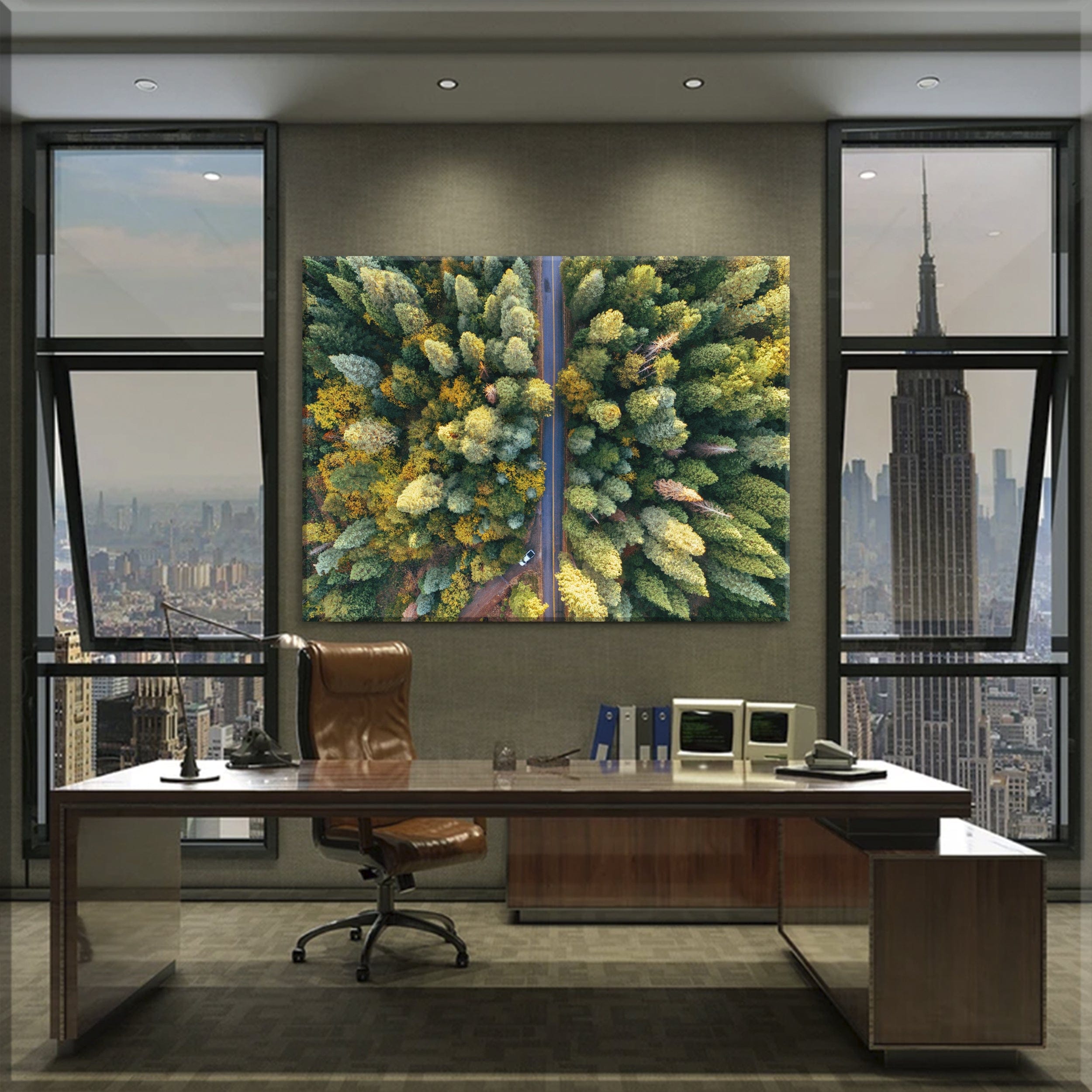 Forest Road Canvas Print