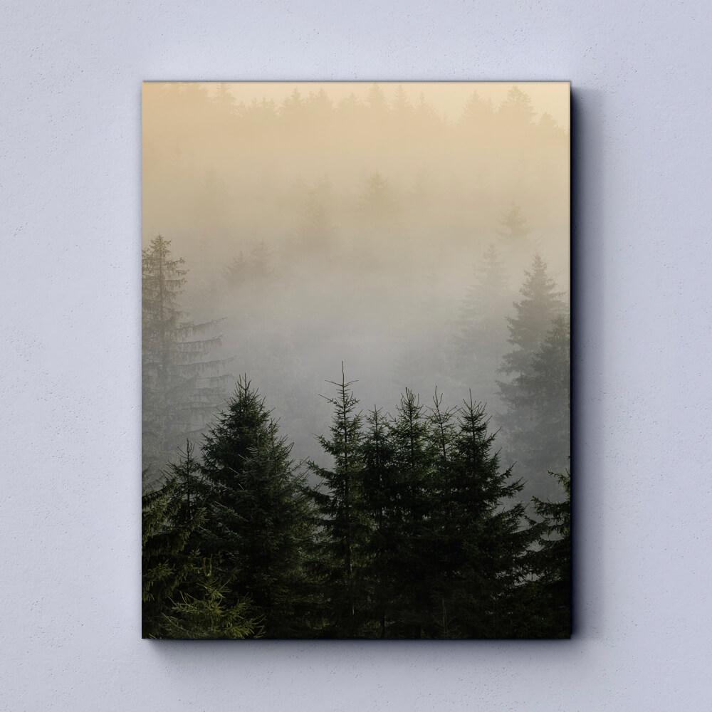 Forest Canvas
