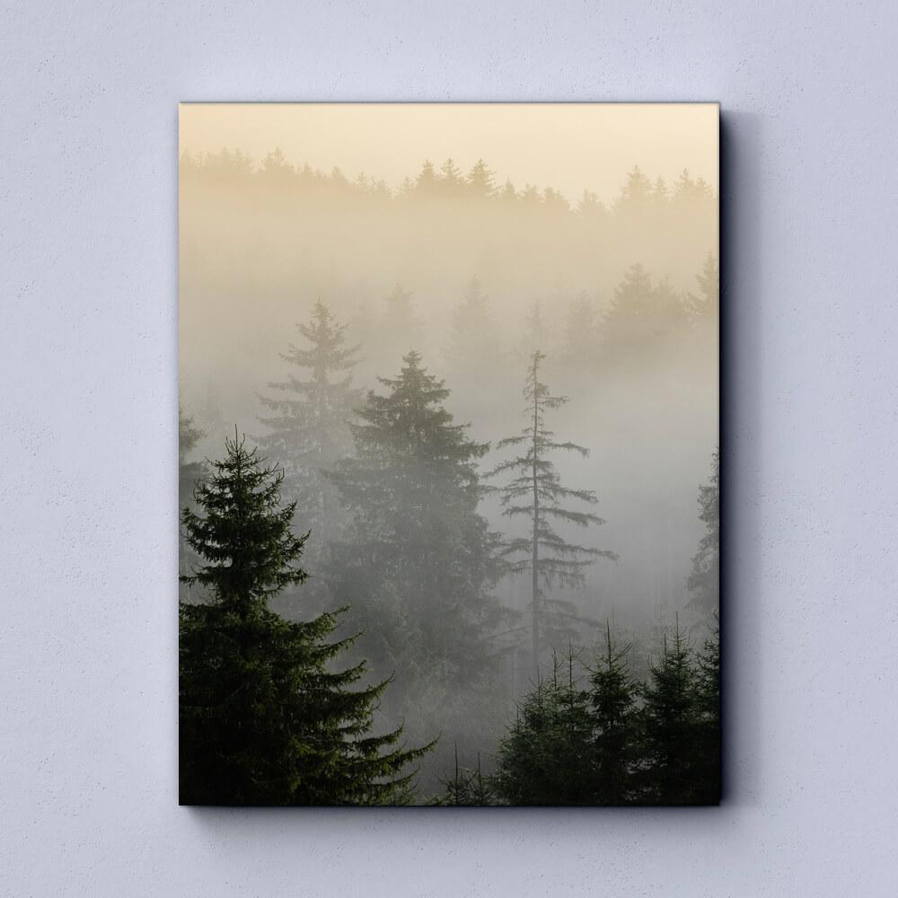 Forest Canvas