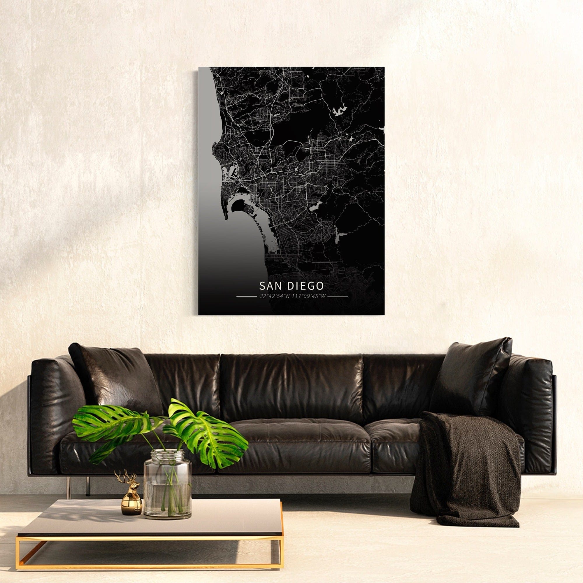 San Diego City Map Canvas