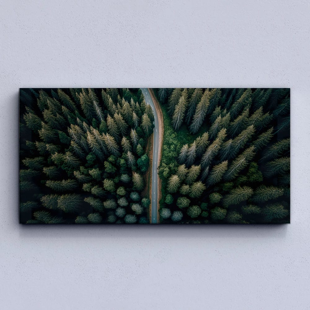 Road In The Pine Forest Canvas Print