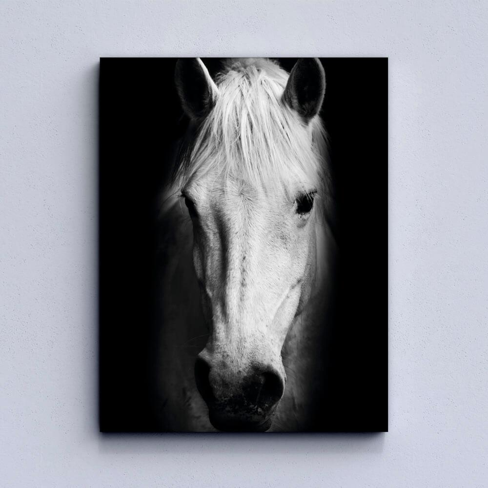 White Horse Canvas
